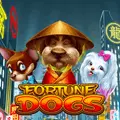 FortuneDogs
